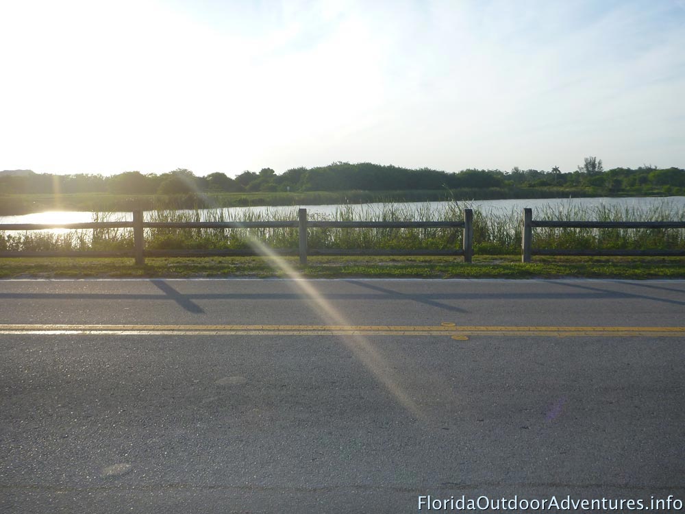 floridaoutdooradventures.info-04.jpg
