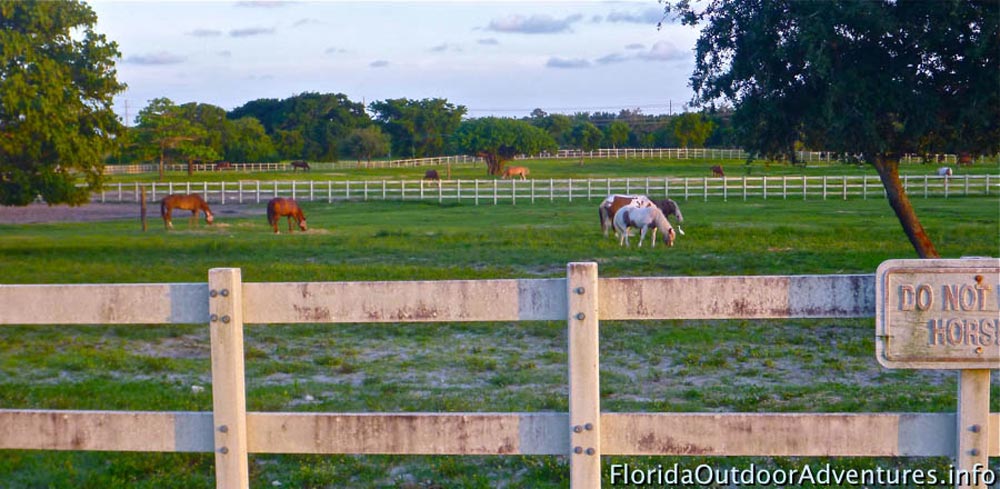 floridaoutdooradventures.info-07.jpg